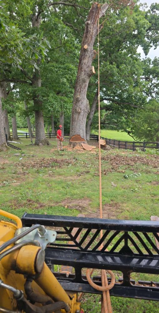 All Photos for Smith Tree Experts in Palmyra, VA