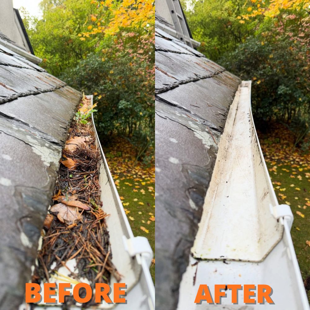 Our Gutter Cleaning service ensures efficient water flow and protects your home from potential damage, using safe and effective techniques to remove debris while enhancing the overall appearance of your property. for Port City Power Washing in Wilmington, NC