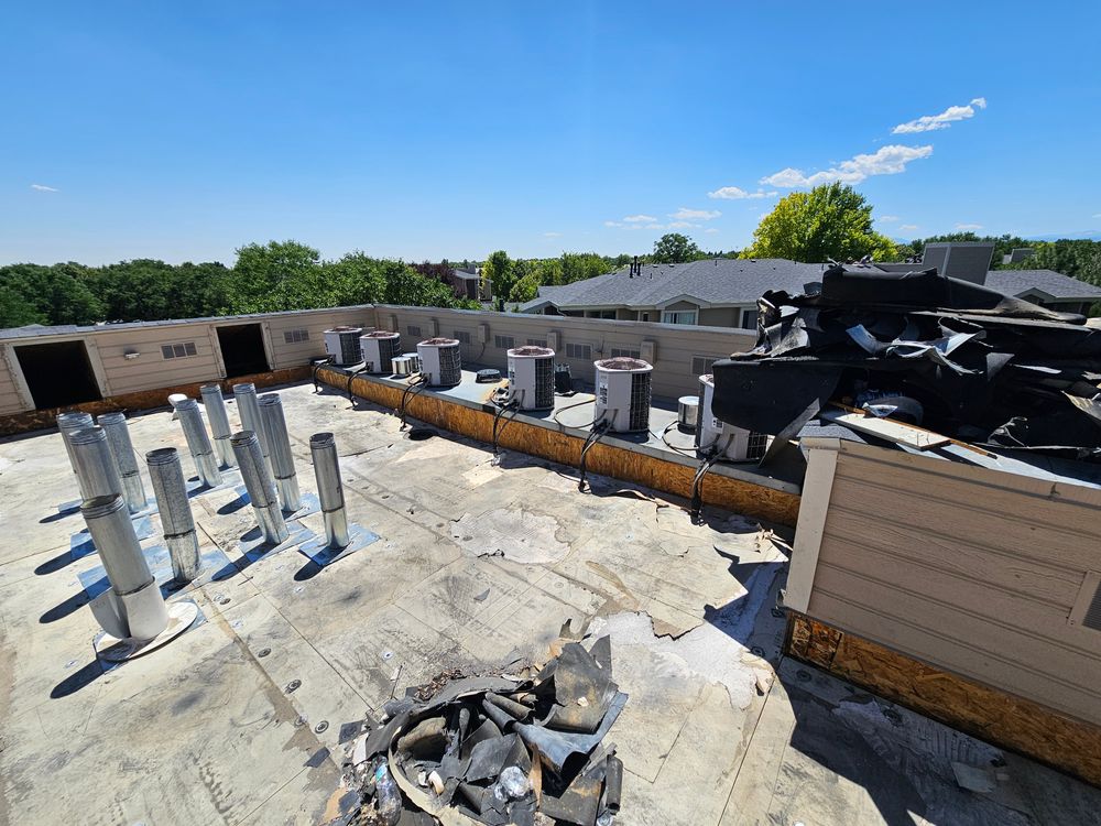 All Photos for Distinctive Home Renovations in Longmont, CO