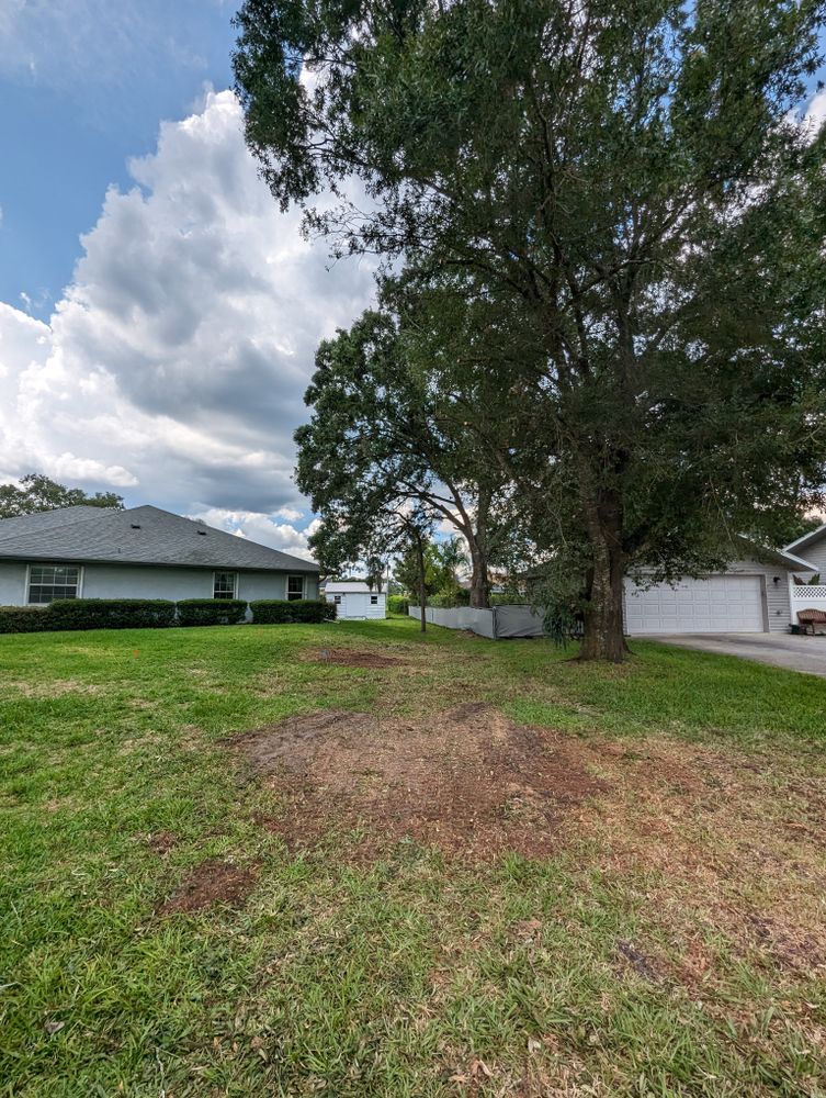All Photos for Regal Tree Service and Stump Grinding in Wauchula, FL
