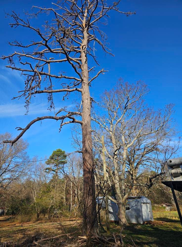 24/7 Storm Response for Sasquatch Tree Services LLC in Spartanburg, SC