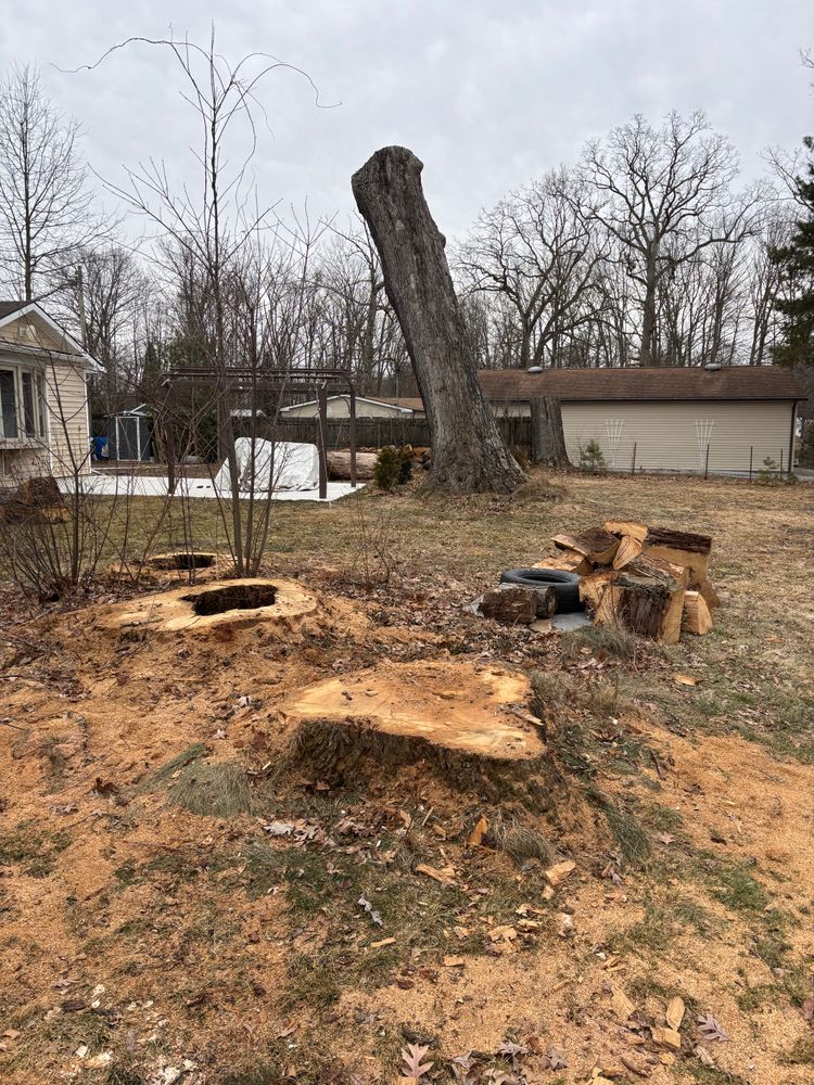 All Photos for Dean's Stump Removal in Youngstown, OH