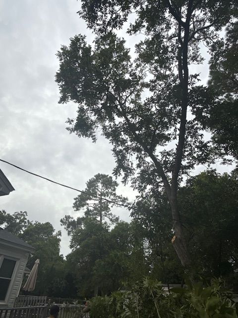 All Photos for Hawkins Tree Service & Land Management in Richmond Hill, GA