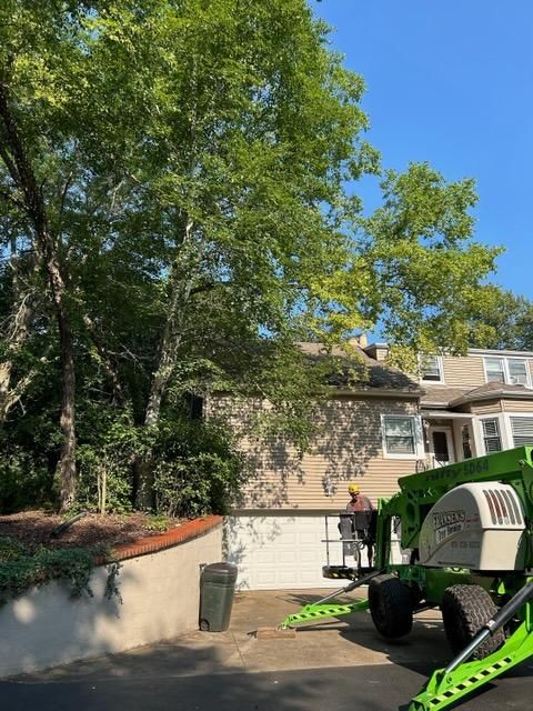 All Photos for Fransen's Tree Service  in Freeport, IL