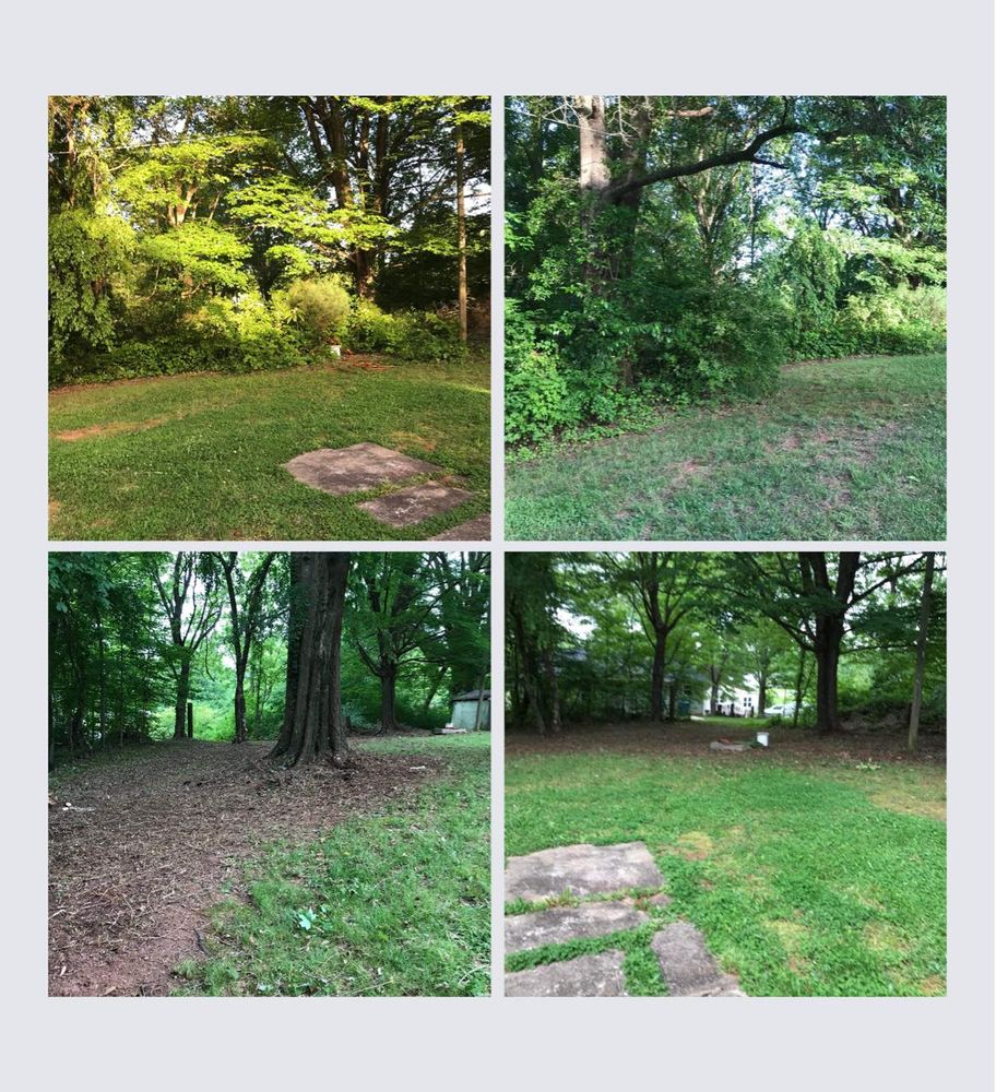 Landscaping for Olmedo Home Services in Davie County, NC