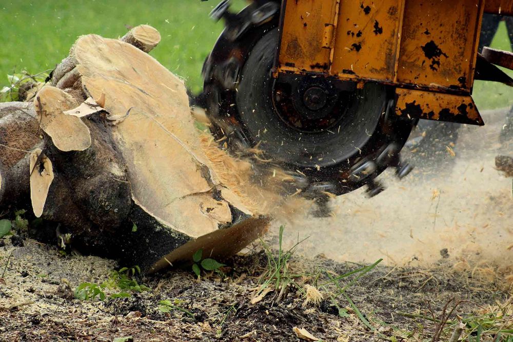 Tree Services for Global Tree Specialist in Huffman, TX