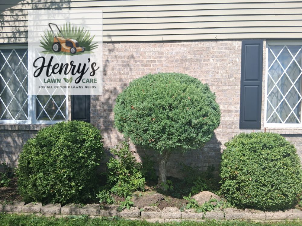 All Photos for Henry's Lawn Care in Rockford, IL