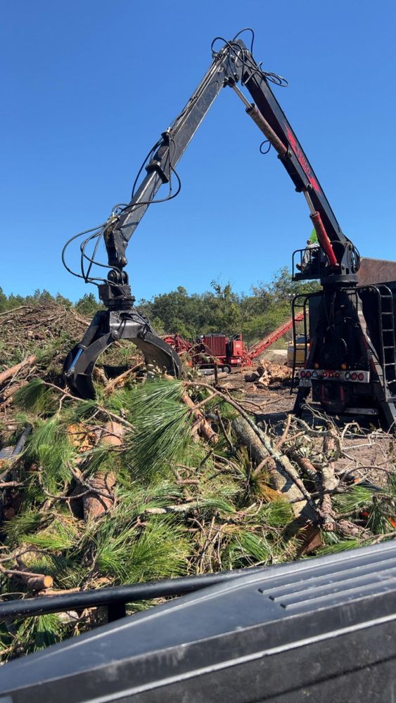 Our Land Clearing service efficiently removes unwanted vegetation, trees, and debris to prepare your property for construction or landscaping projects, ensuring a clean slate for your desired transformations. for All Seasons Tree Service and Land Works in Trenton, FL
