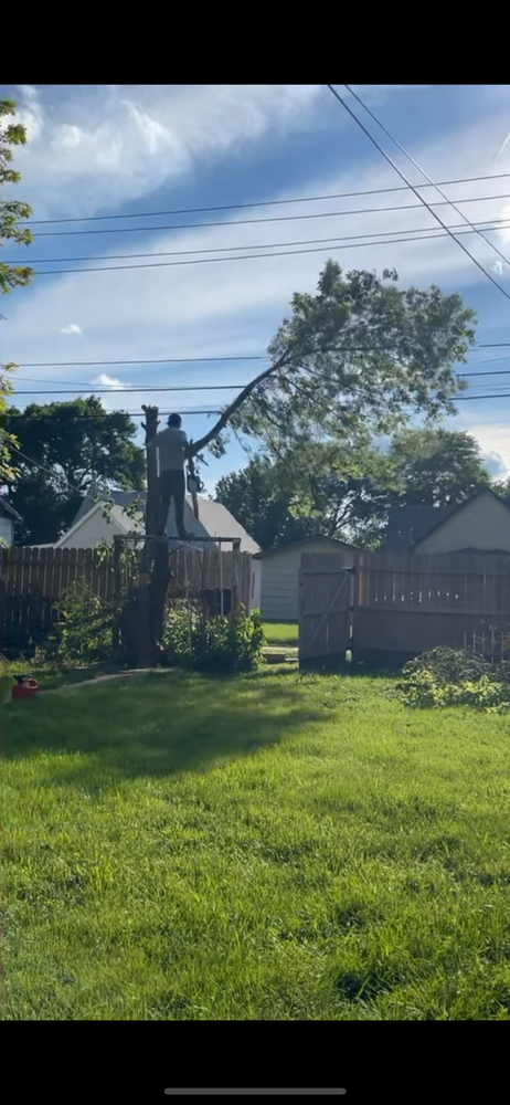 All Photos for Jacks Lawn & Landscape LLC  in Hastings, NE