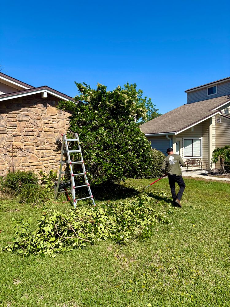 All Photos for Top Notch Tree Experts in Orange Park, FL
