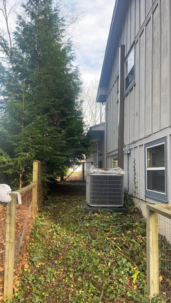 All Photos for Quick Removal Solutions in Lansing, MI