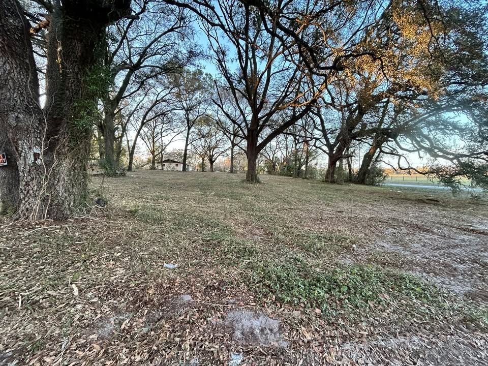 All Photos for Trinity Land Solutions in Brooksville, FL