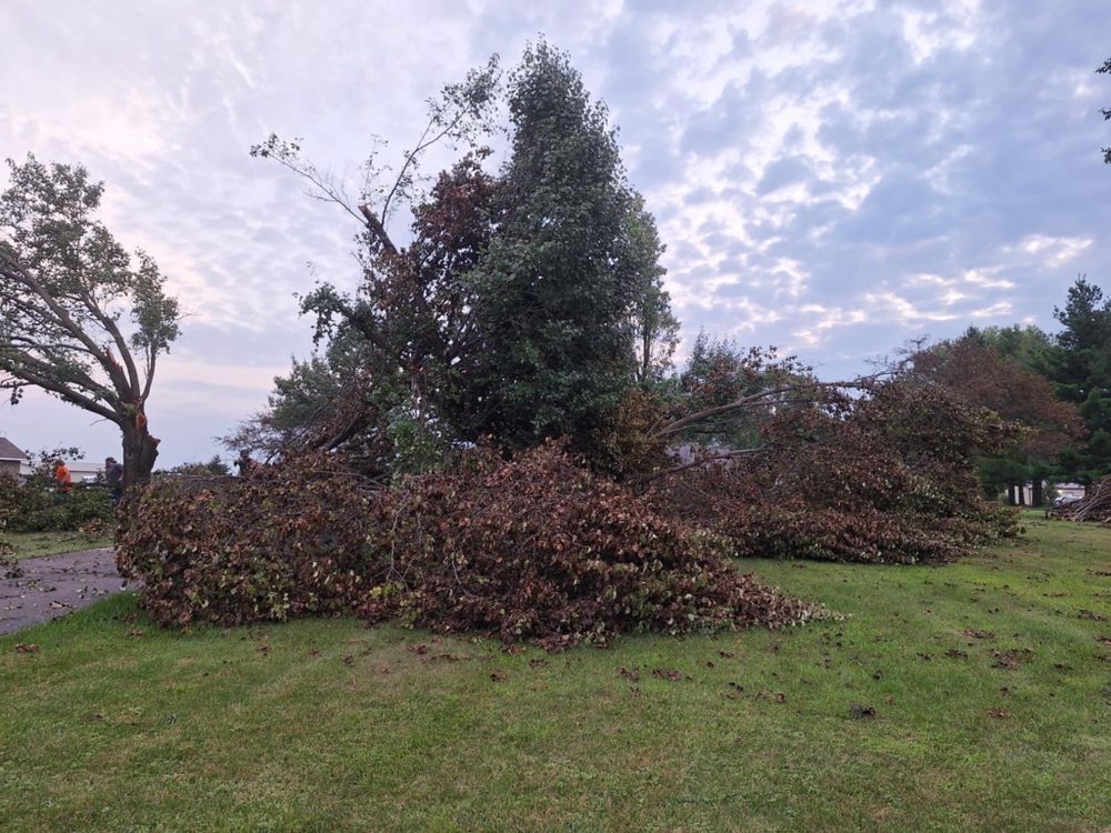 Emergency Storm Work for Highborn Tree Service in Wheatfield, IN