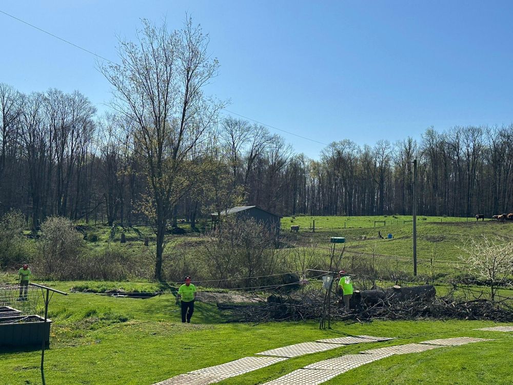 All Photos for Mad Tree Service in Cochranton, PA