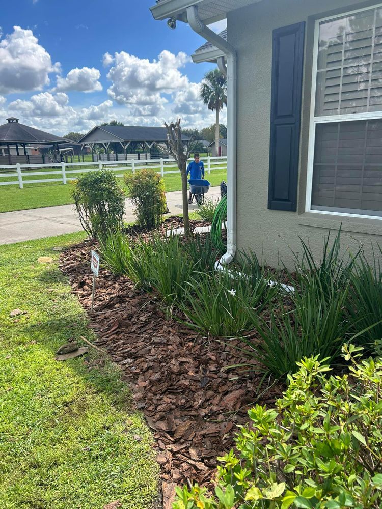 All Photos for Estrada All Pro Lawn Service in Auburndale, Florida