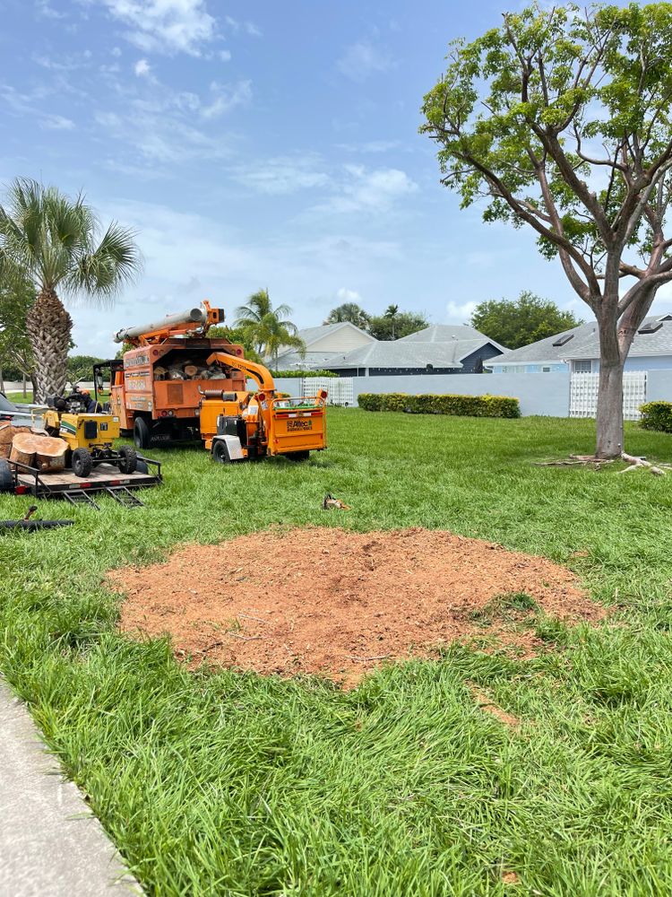 All Photos for Sam's Tree Service in Miami Beach,  FL