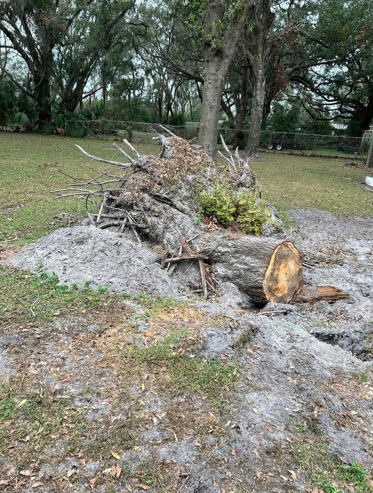 All Photos for Greene Acres Stump Grinding in Plant City, FL