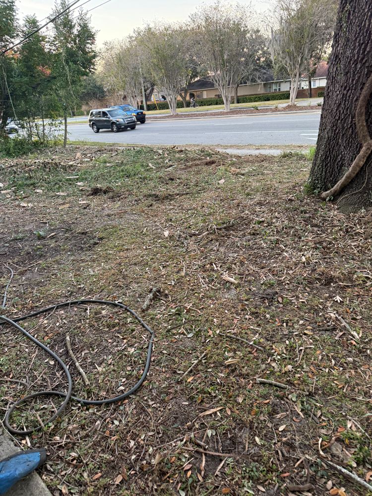 All Photos for Amerigrown Tree And Lawn in Apopka, FL