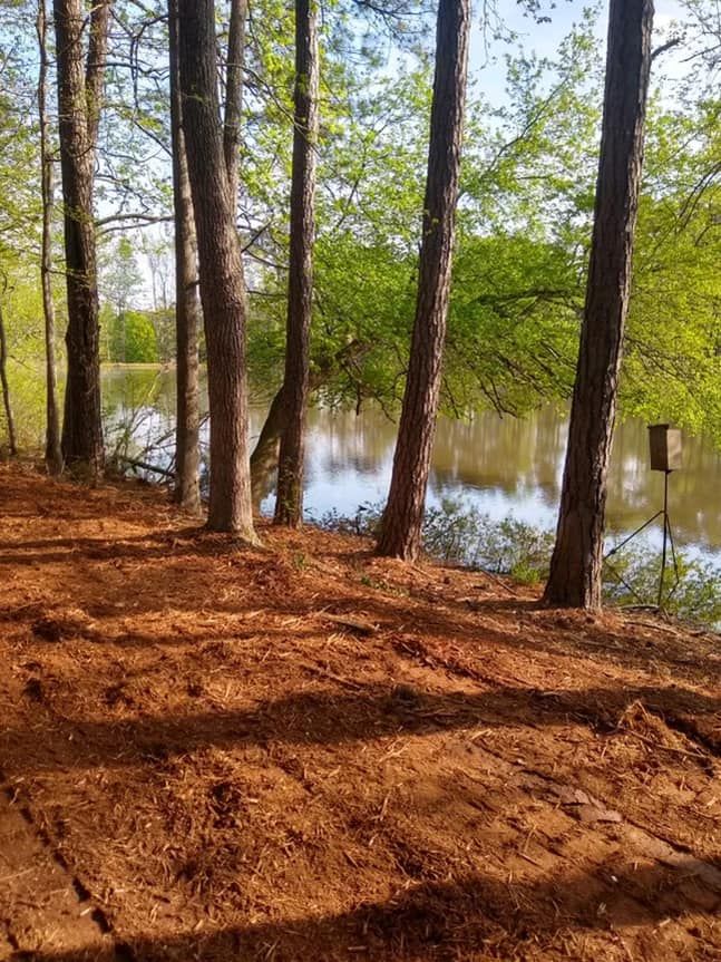 Forestry Mulching for G&H Forestry Mulching and Land Services in Fayetteville, GA