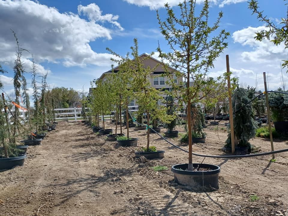 Landscaping & Hardscaping for Mike's Grading Plus in Caldwell, ID