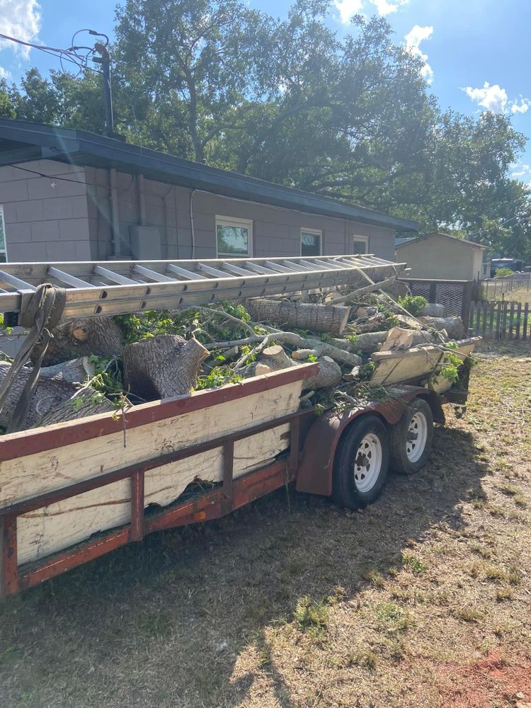 Fall and Spring Clean Up for Efficient and Reliable Tree Service in Lake Wales, FL