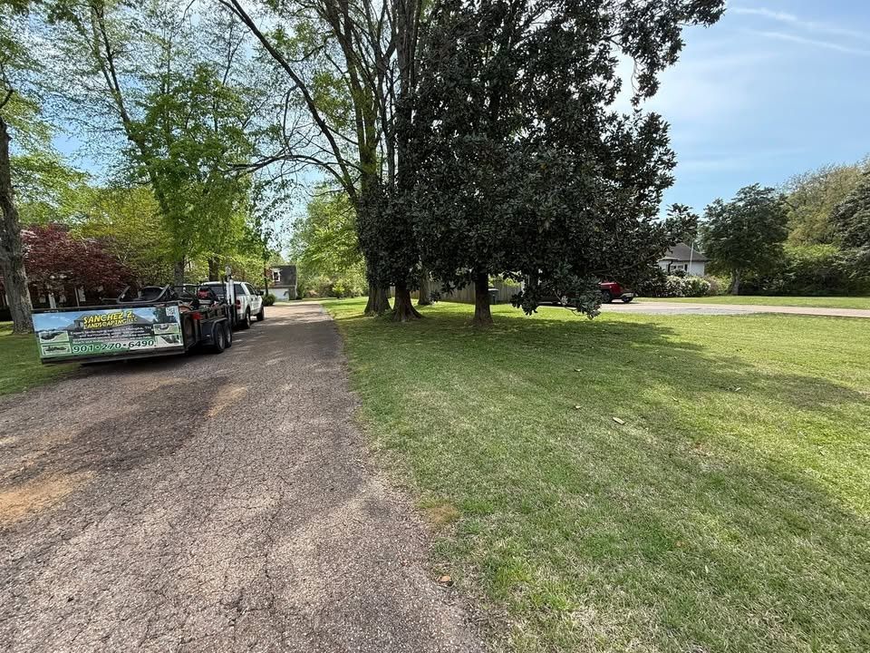 All Photos for Sanchez Z. Landscaping in Memphis, TN