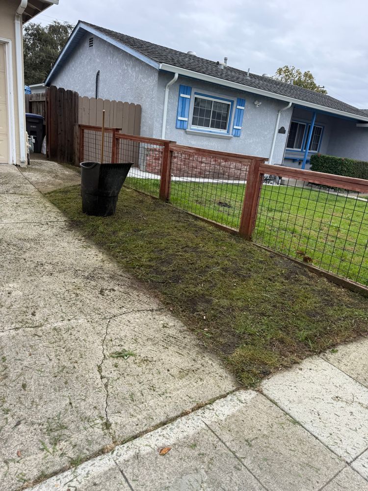 All Photos for CBA Landscaping in Hayward, CA