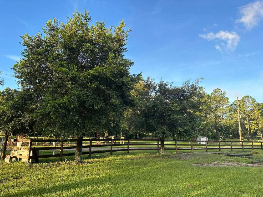 All Photos for Walsh Fencing & Land Management in Tavares, FL