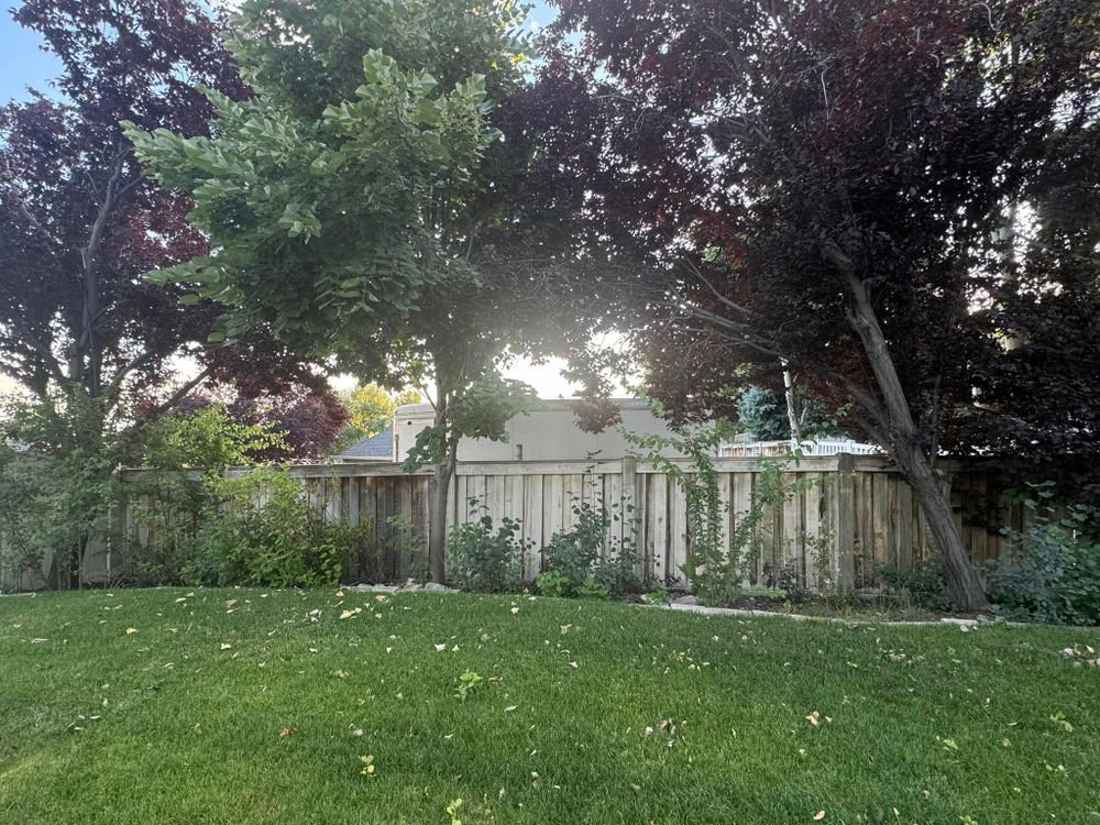 All Photos for L&S Landscaping in Layton, UT