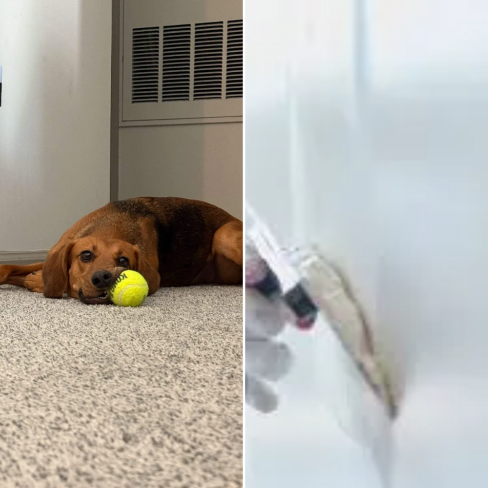 All Photos for Down Dog Yoga in Boston, MA