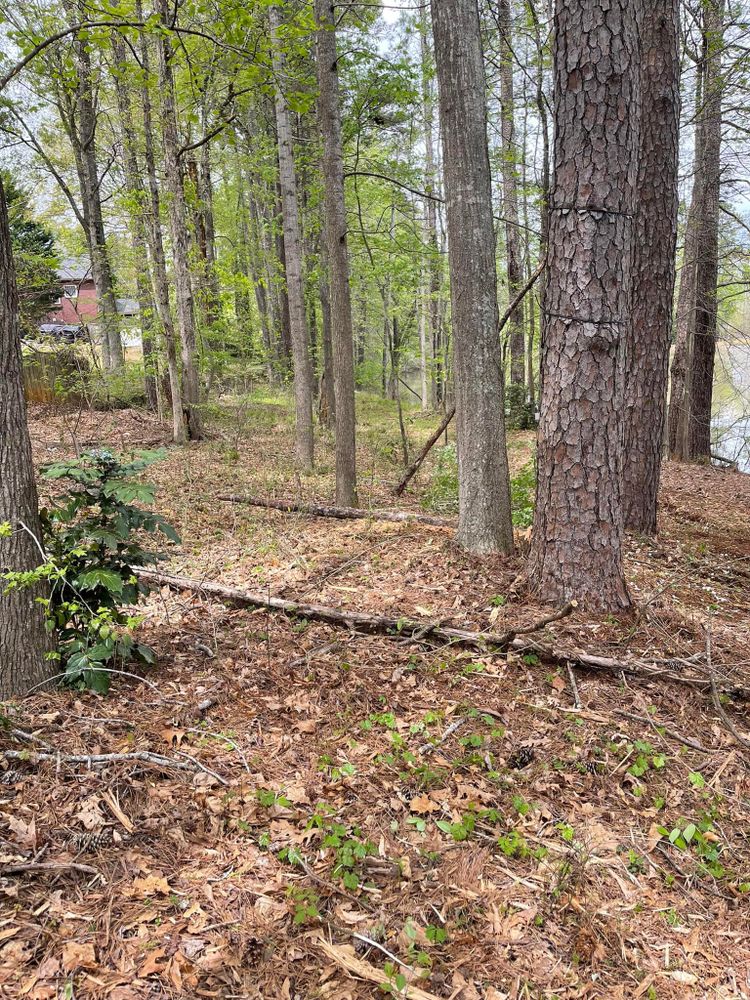 Forestry Mulching for G&H Forestry Mulching and Land Services in Fayetteville, GA