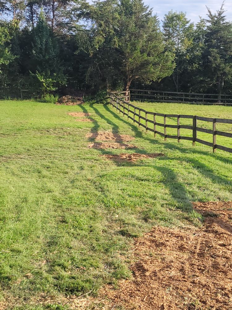 All Photos for Woody's Tree and Landscape in Fredericksburg, VA