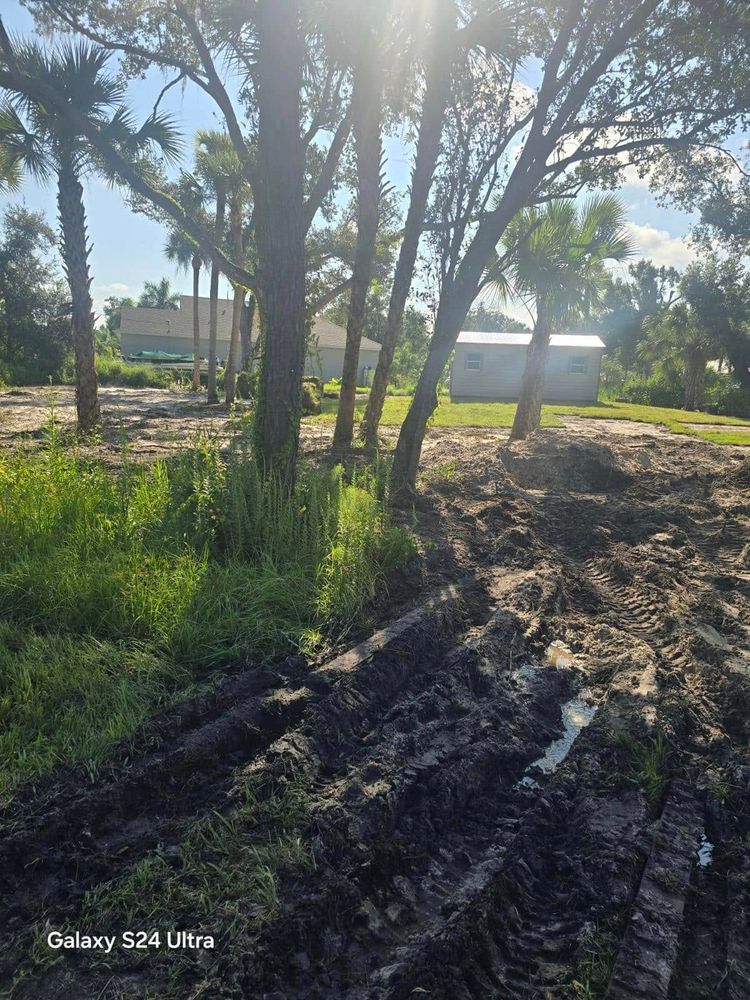 All Photos for Nick of Time Tree Service in North Port, FL