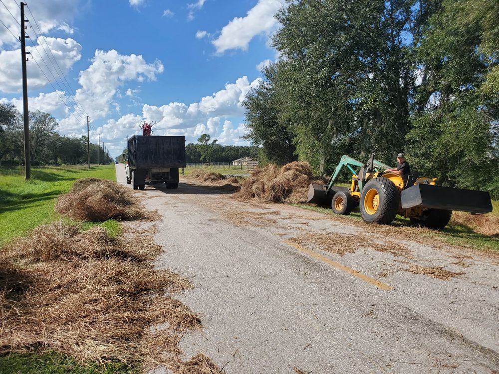 Other Services for Regal Tree Service and Stump Grinding in Wauchula, FL