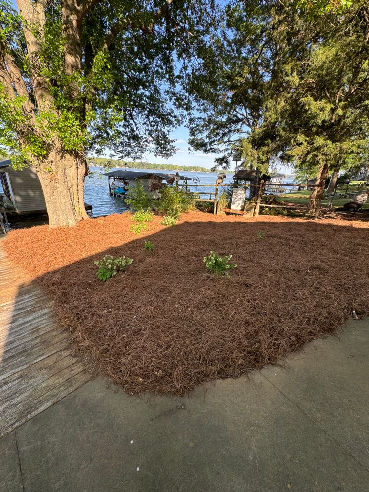 All Photos for Grandview Lawn Care in Norwood, NC