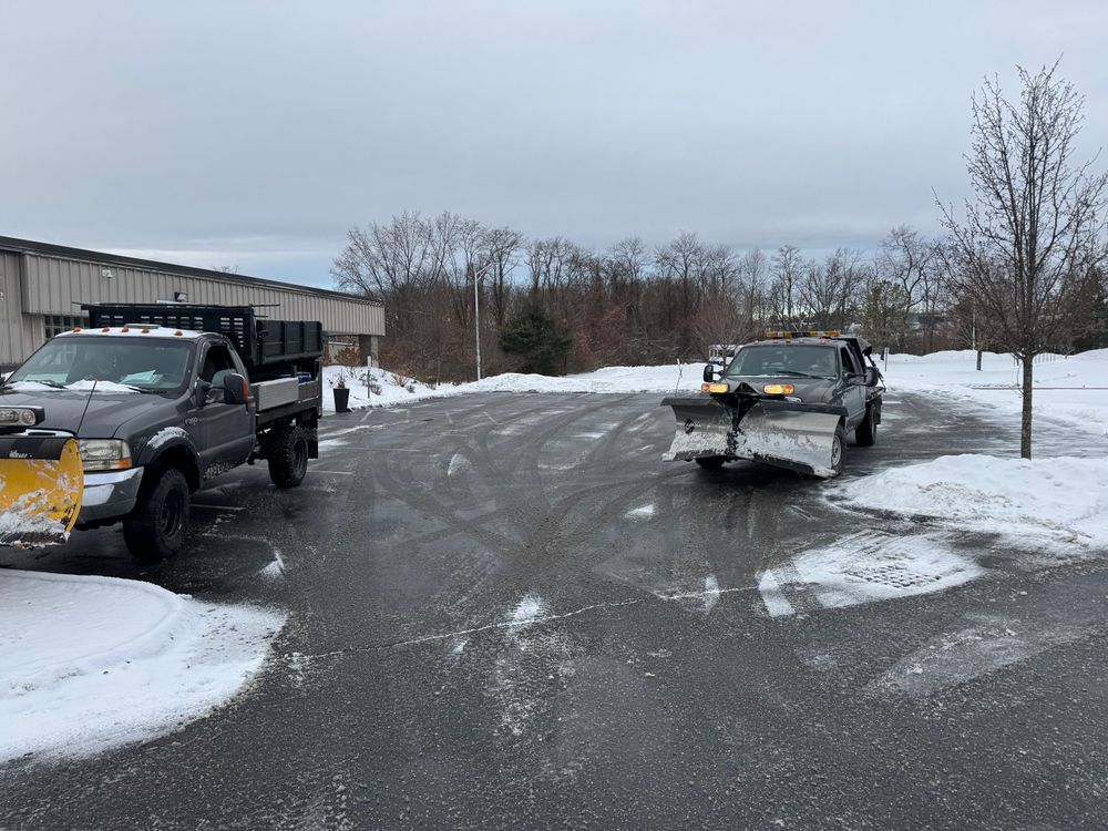 All Photos for Adams Landscaping in Springfield, MA