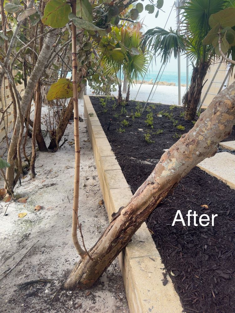 All Photos for My Soft Wash Guys in Venice, FL