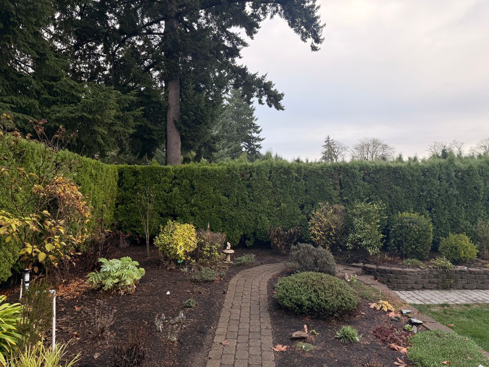 All Photos for Churape And Son's Landscaping in Vancouver, WA