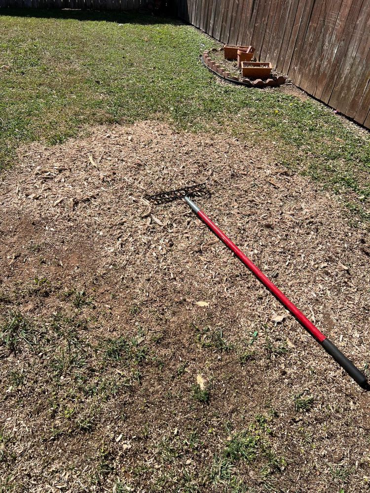All Photos for Camerons Stump Grinding & Tree Services in Austin, TX