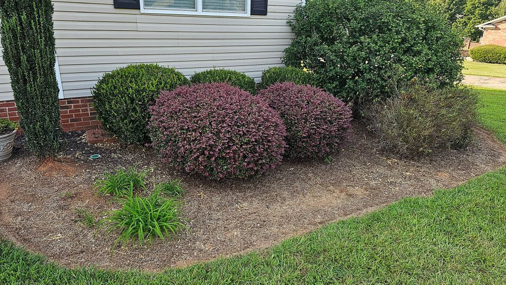 Landscaping Lawn Care for Sunshine's Dreamscapes in Greer, SC