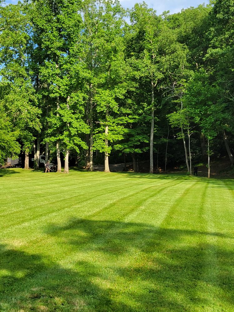 Lawn Maintenance  for C4 TrueVision Renovations in Asheville, NC