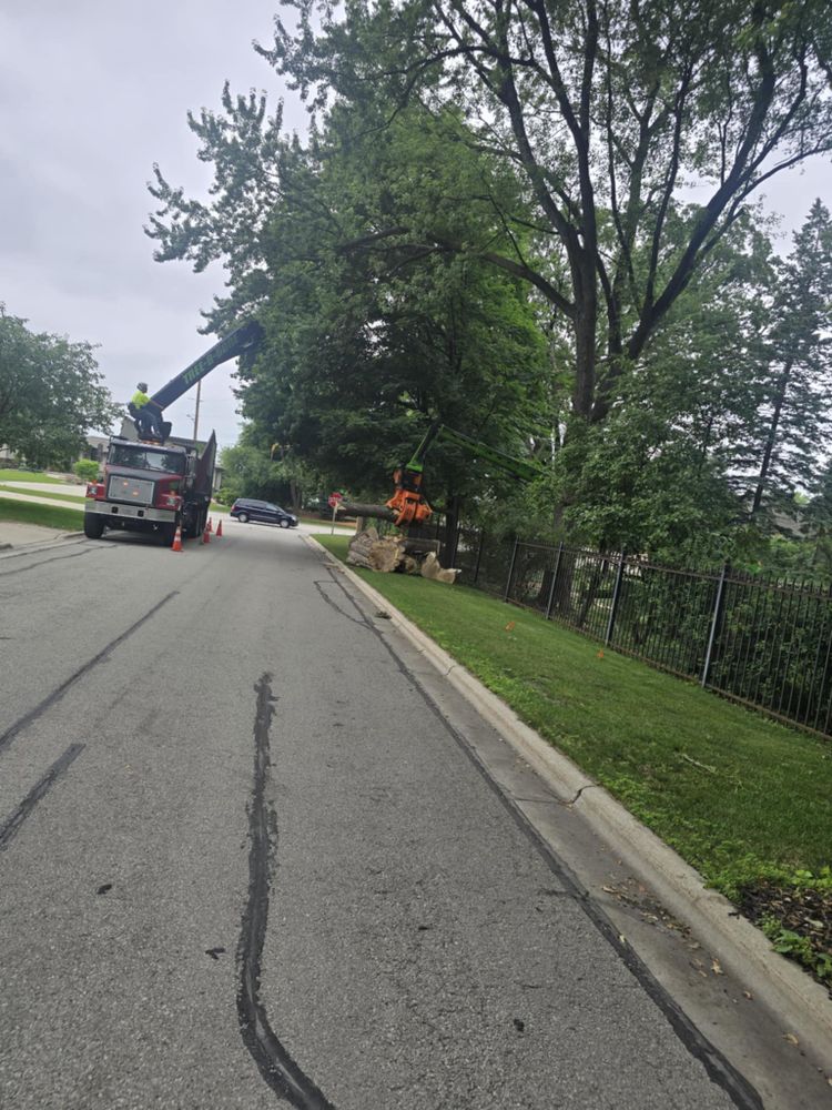All Photos for Tree-B-Gone in Shawano, WI