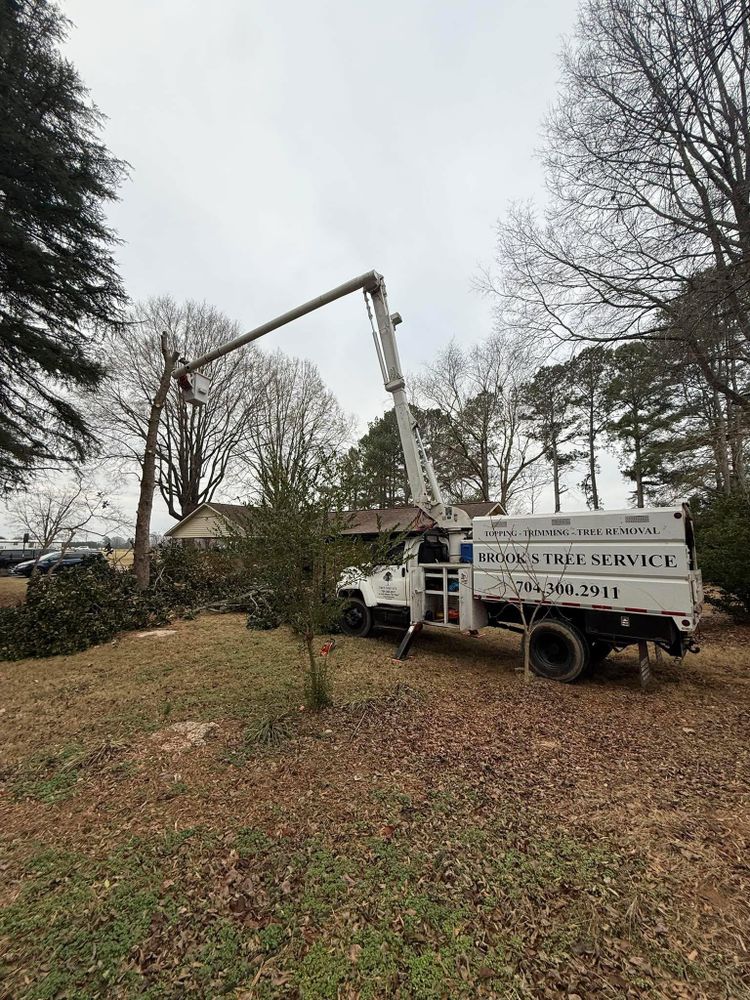 All Photos for Brooks Tree Service in Casar, NC