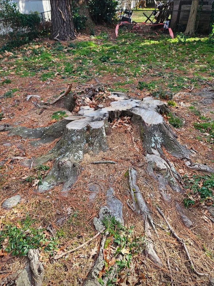 All Photos for Anchor & Grind Stump in Chesapeake, VA