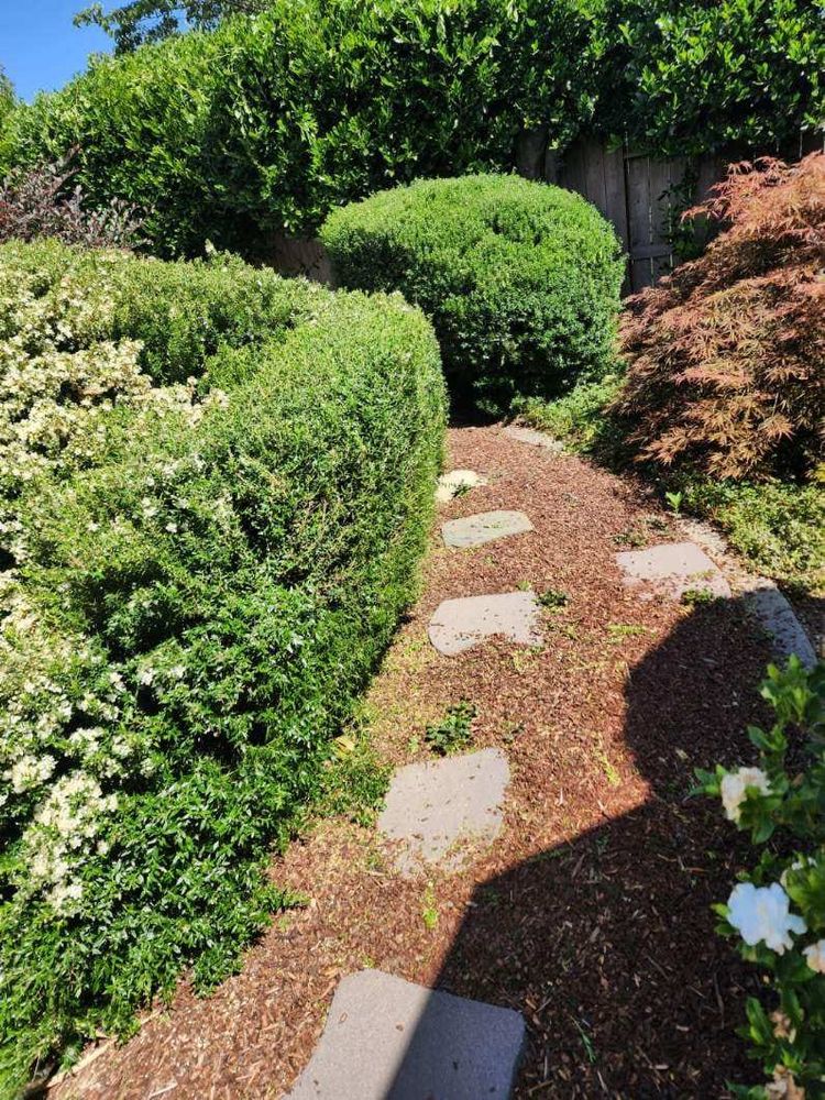 Transform your outdoor space with our professional mulch installation service. Enhancing soil health, retaining moisture, and adding aesthetic appeal—our team ensures a vibrant landscape tailored to your home’s needs. for Gregg Yard Maintenance in Paradise, CA