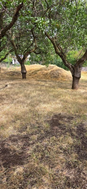 All Photos for Logan's Dump Run in Chico, CA