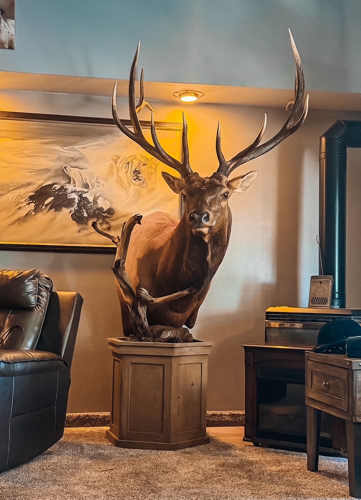 All Photos for C&E Custom in Payson, UT