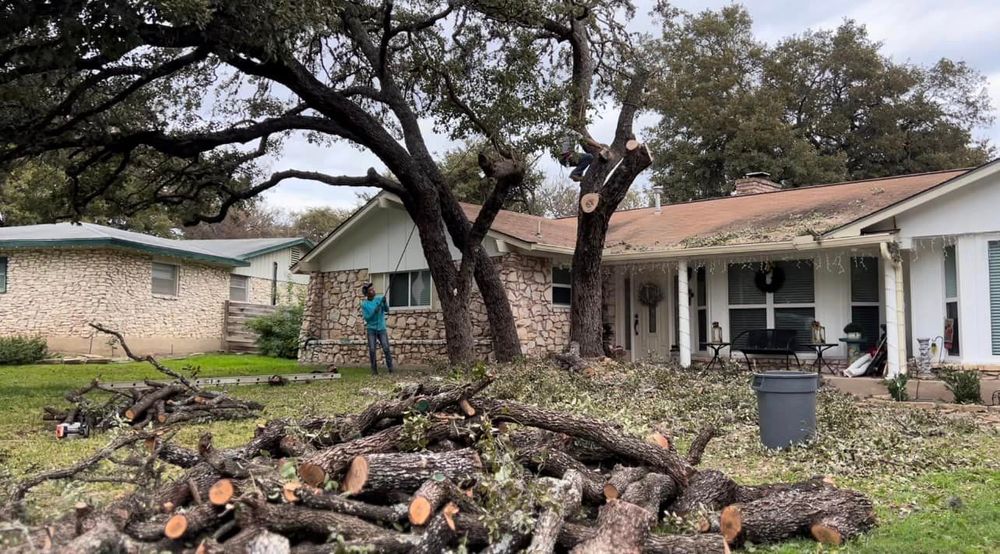 Tree Removal for 210 Tree Care in San Antonio, TX