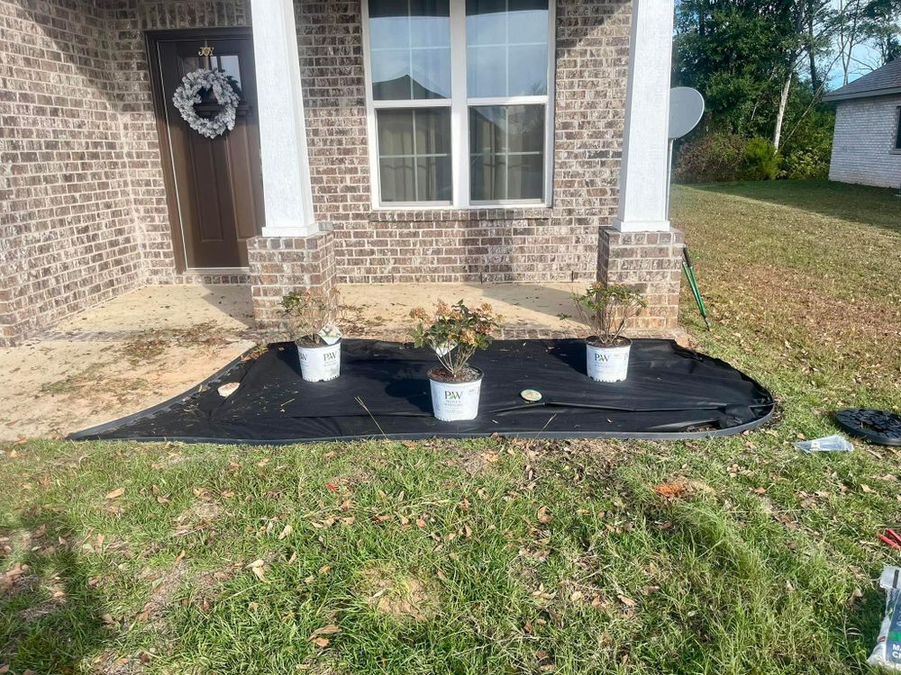 All Photos for All-Star Lawn Care & Soft Washing in Mobile, AL