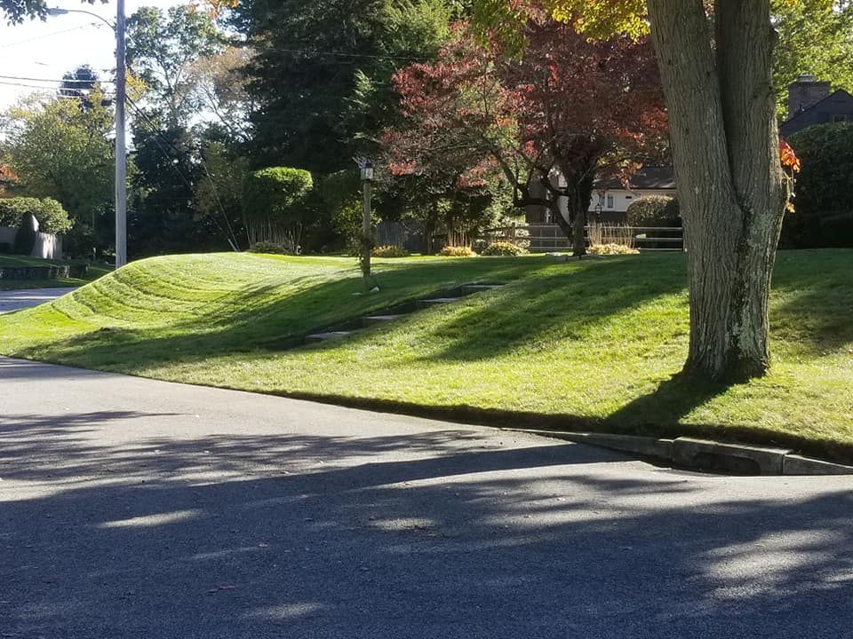 Lawn Care for Reyky Landscaping & Masonry LLC in Providence,  RI